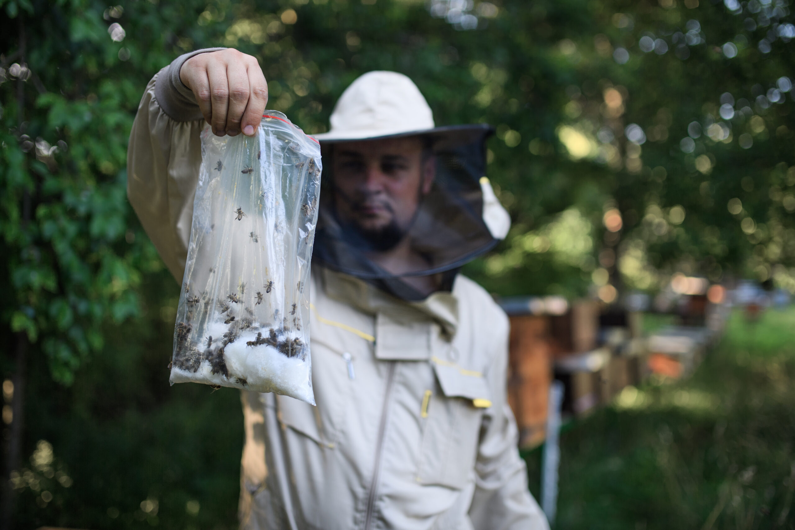 Moth Control